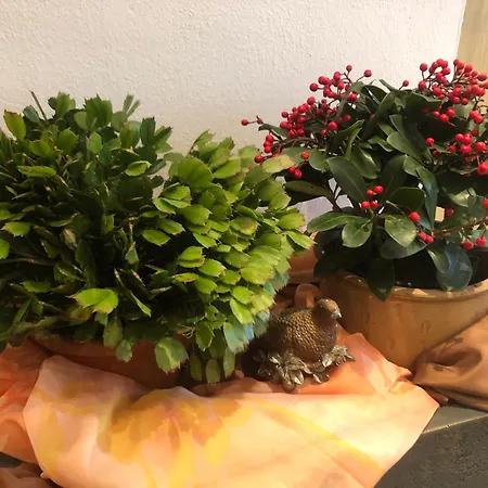 Sophia & Ilse בית נופש מוראו